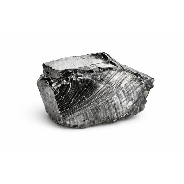 Rohstein Edel-Schungit